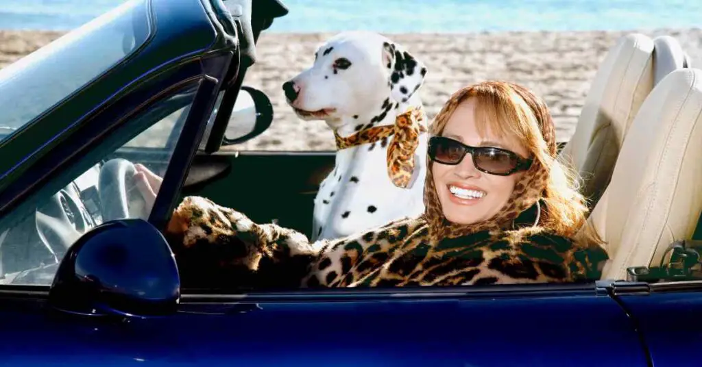 Are Dogs Allowed in Convertible Cars? Vehicles Authority
